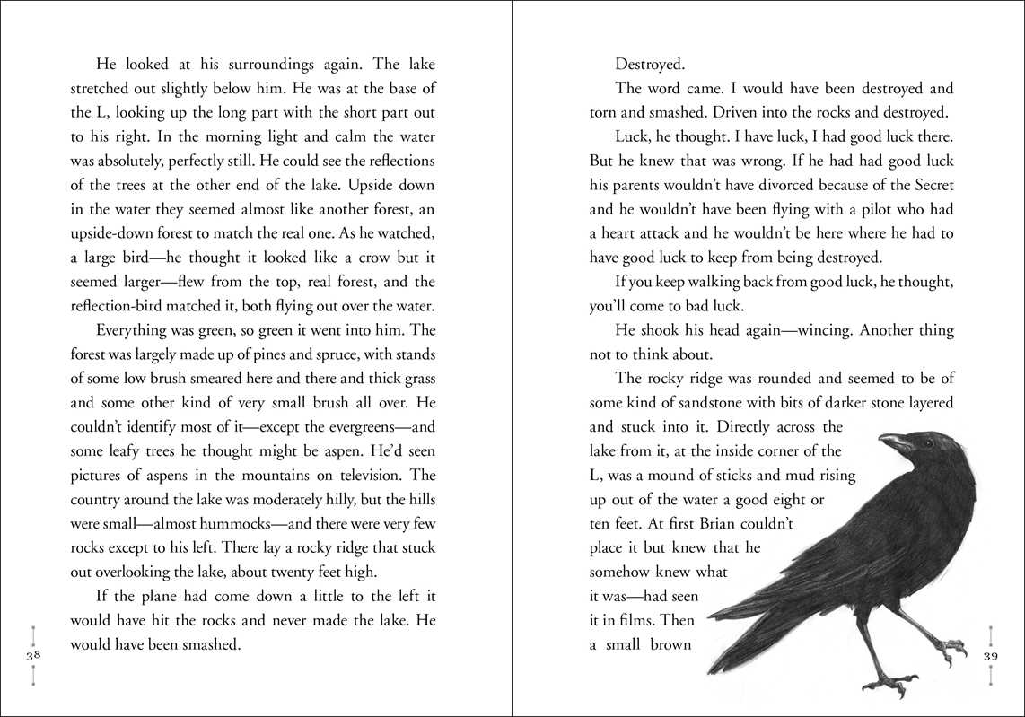 Hatchet by Gary Paulsen