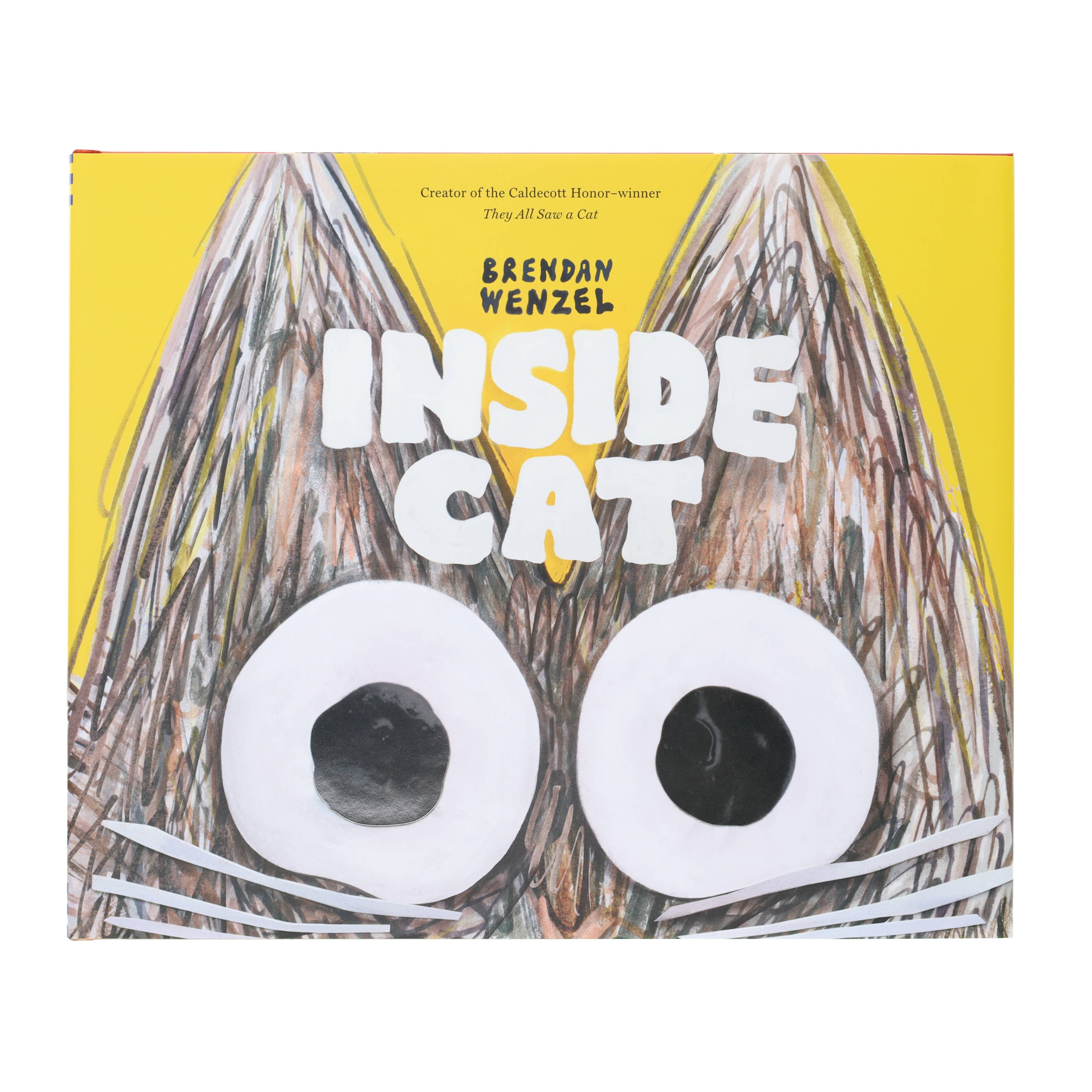 Inside Cat