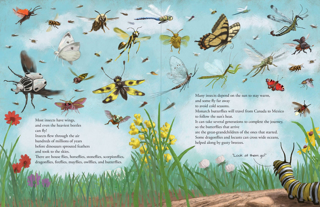 All the Insects in the World