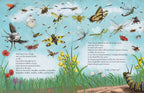 All the Insects in the World