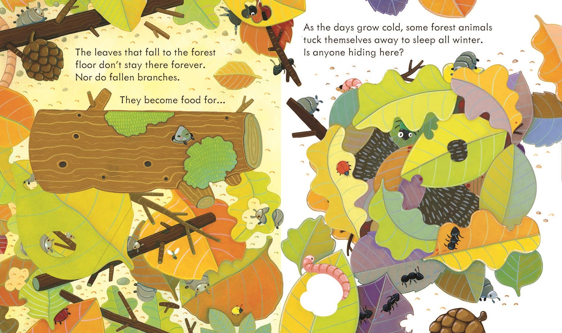 Peek Inside The Forest: Usborne
