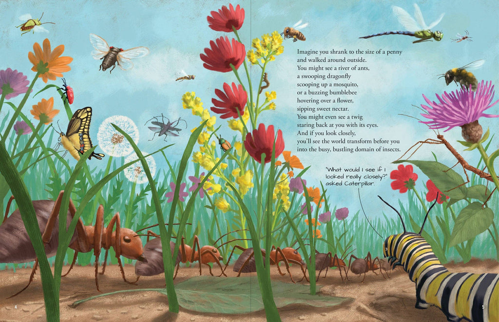 All the Insects in the World