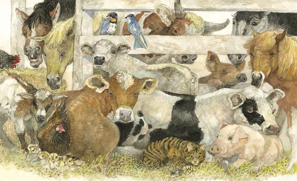 Home in the Barn, A : Margaret Wise Brown
