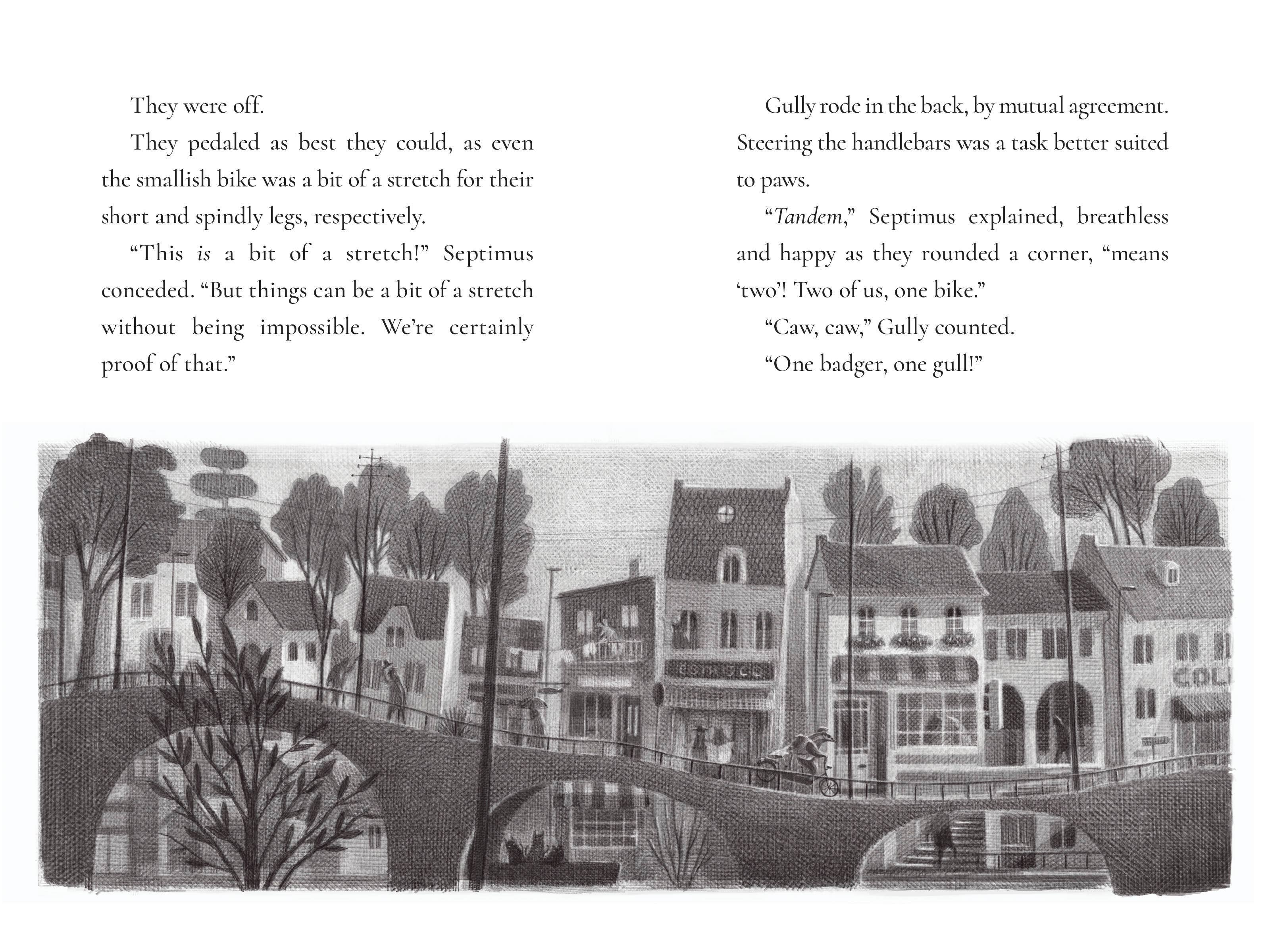 Bad Badger: A Love Story by Maryrose Wood (Hardcover)