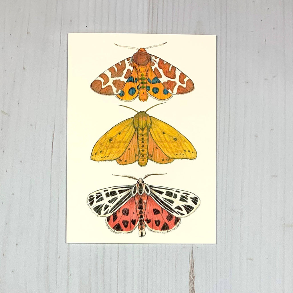 Tiger Moth 5x7" Notecard