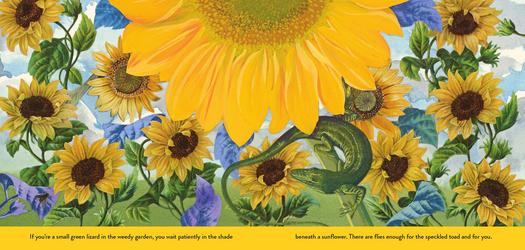 Weedy Garden, The : Margaret Renkl