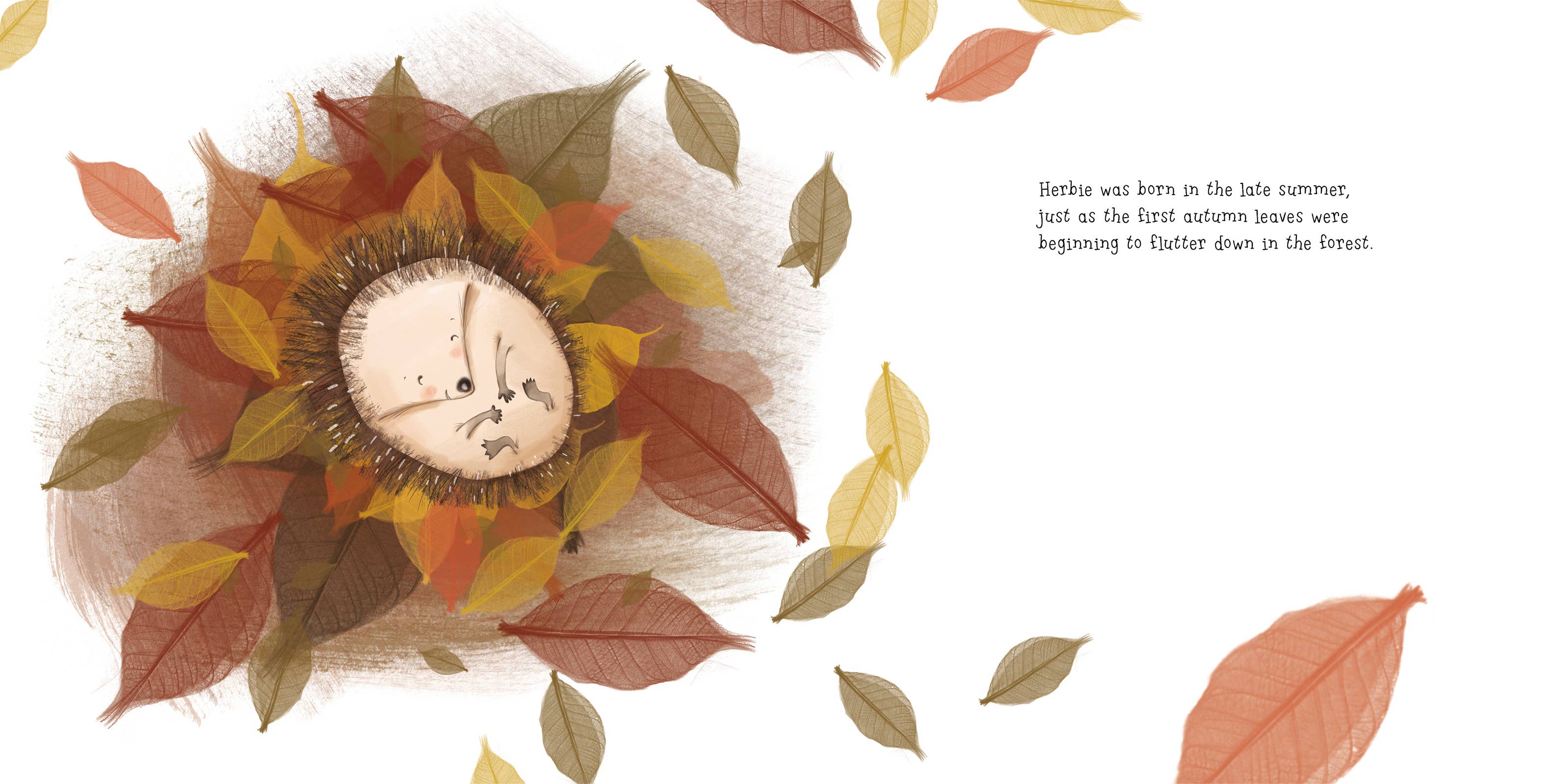 Herbie's Big Adventure Board Book