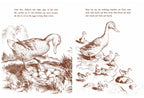 Make Way For Ducklings