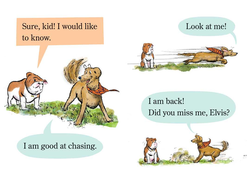 Elvis & Romeo Go to Dog School by David Soman