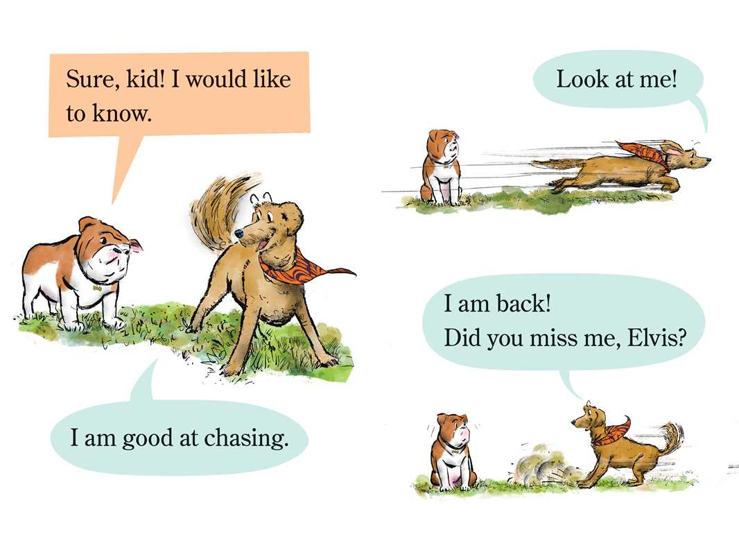 Elvis & Romeo Go to Dog School by David Soman