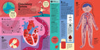 The Interactive Human Body