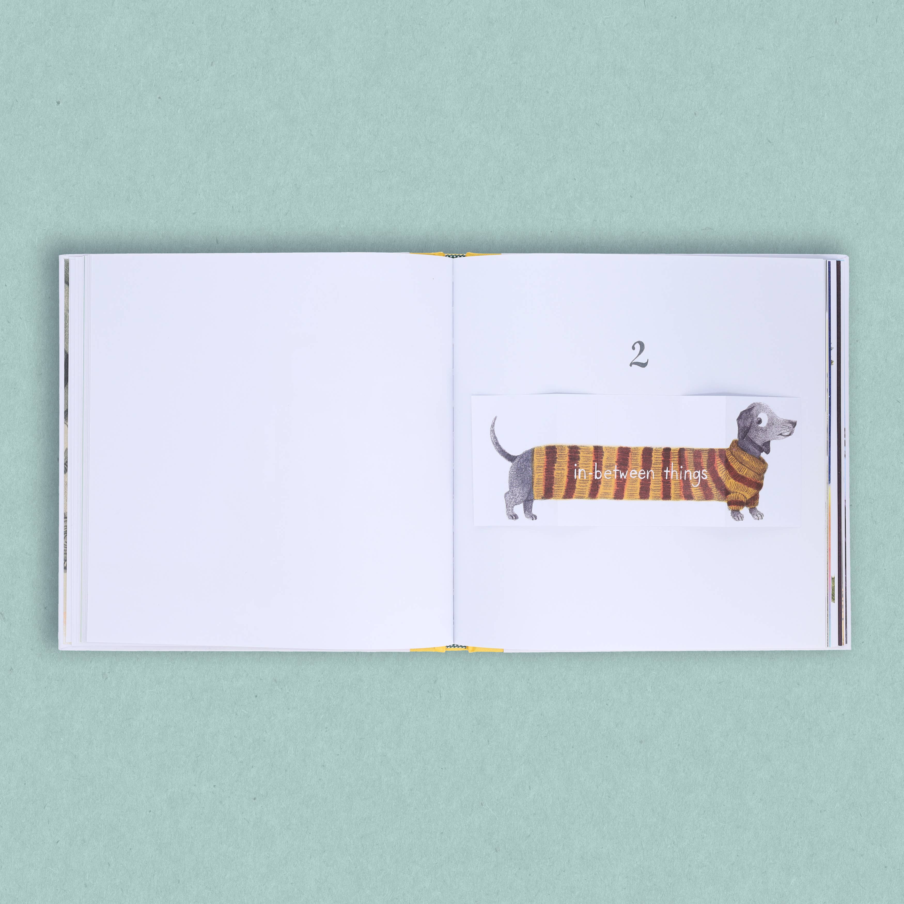 Big and Small and In-Between