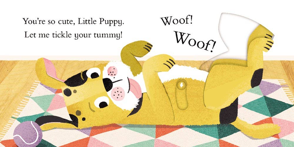 Hide & Slide: My Little Puppy : Jackie McCann
