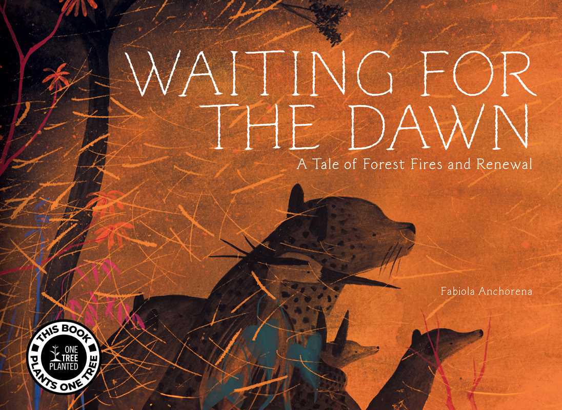 Waiting for the Dawn by Fabiola Anchorena