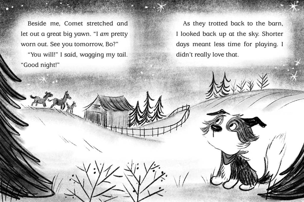 Snow Show by Cam Higgins