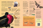 Usborne Science Encyclopedia : Usborne