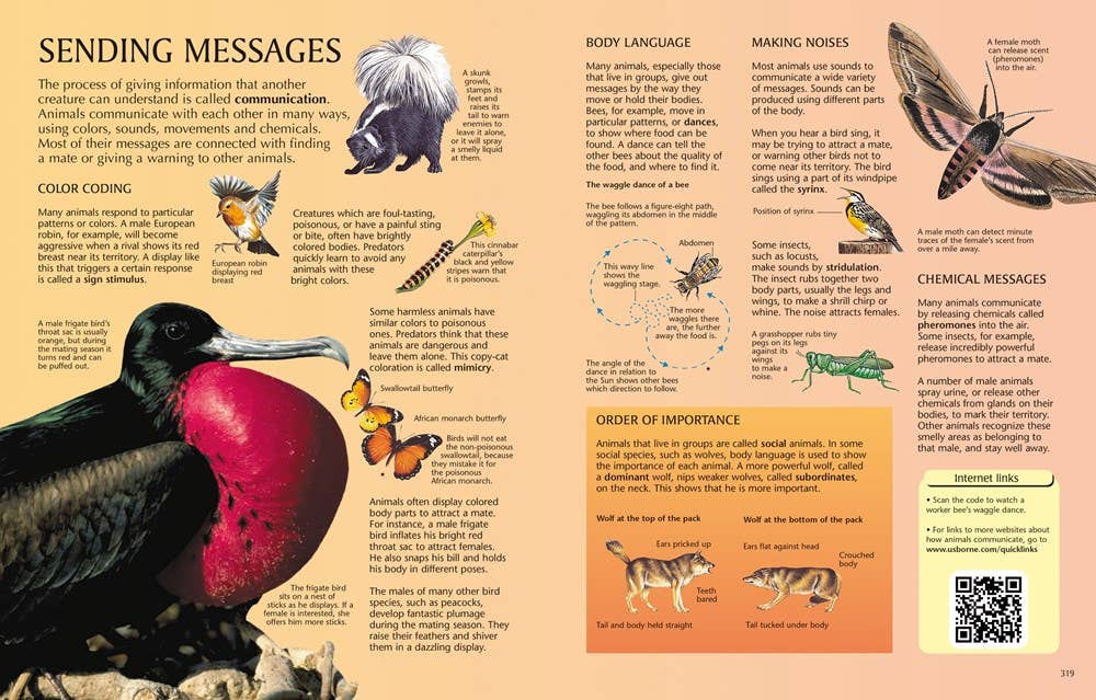 Usborne Science Encyclopedia : Usborne