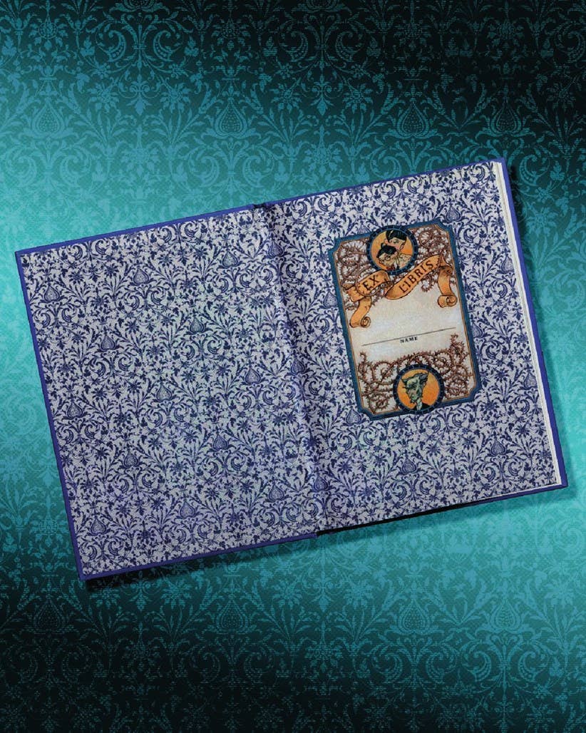 A Series of Unfortunate Events #1: The Bad Beginning Deluxe