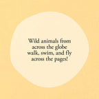 Hello Hello Opposites