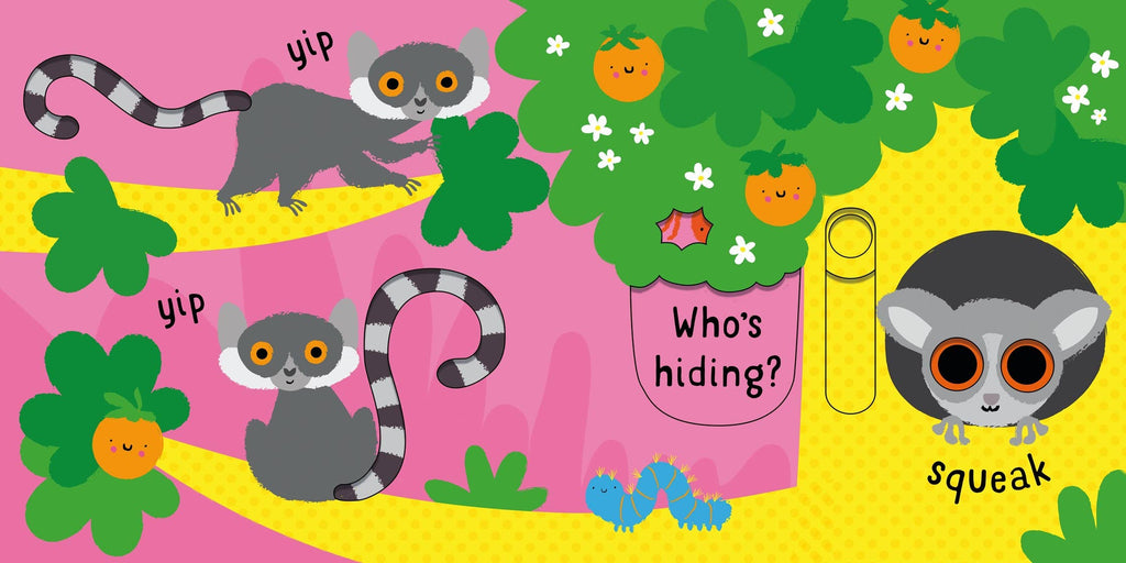 Slide And See Animals board book : Usborne
