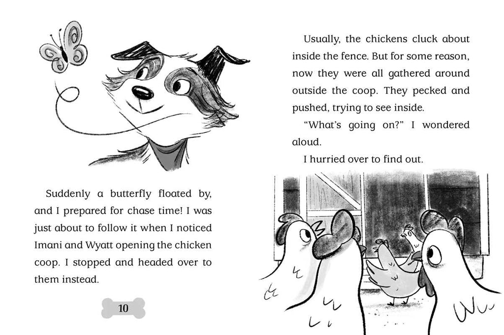 Bo Hatches a Plan by Cam Higgins