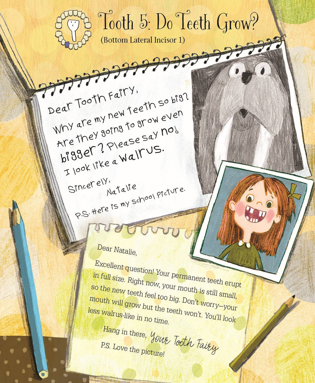 Letters from My Tooth Fairy Picture Book