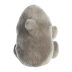 5" Plush Pal Finnegan Shark Palm Pals Stuffed Animal