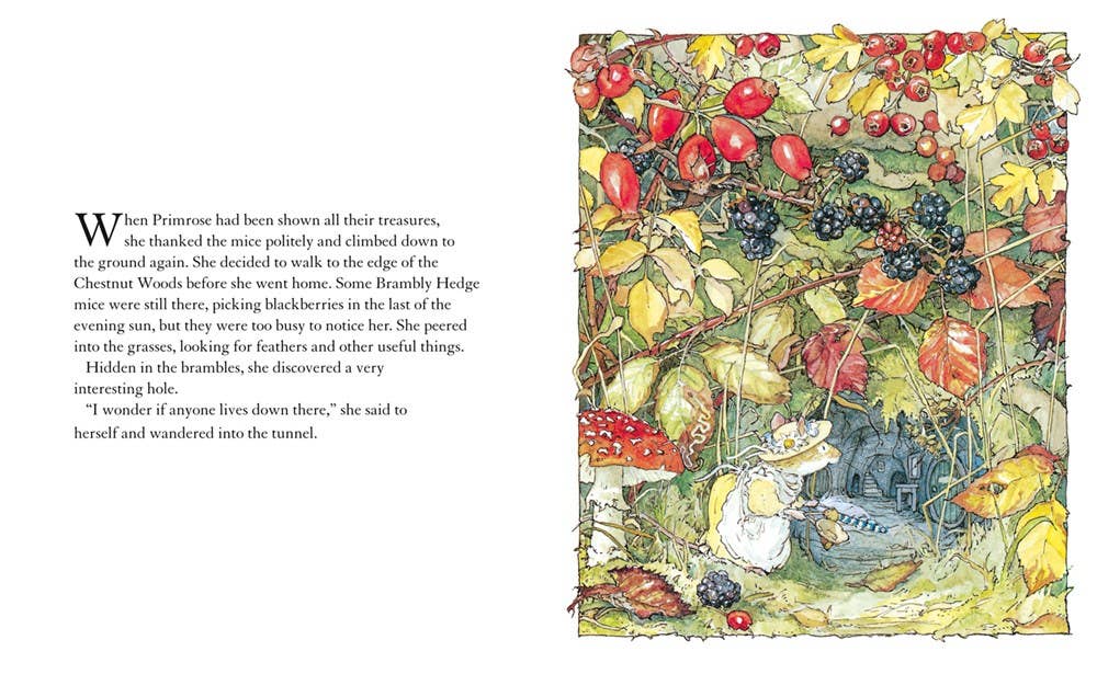 Autumn Story : Jill Barklem