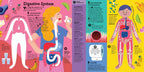 The Interactive Human Body