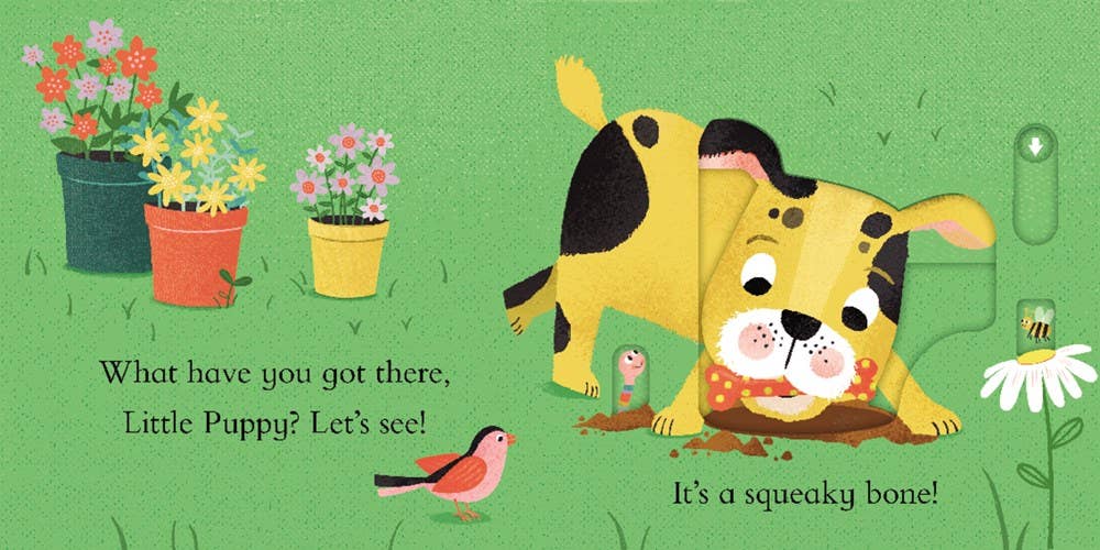 Hide & Slide: My Little Puppy : Jackie McCann
