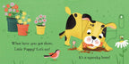 Hide & Slide: My Little Puppy : Jackie McCann