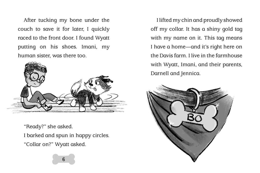 Bo Hatches a Plan by Cam Higgins