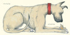Dogs by Emily Gravett