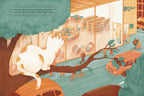 No Cats in the Library by Lauren Emmons