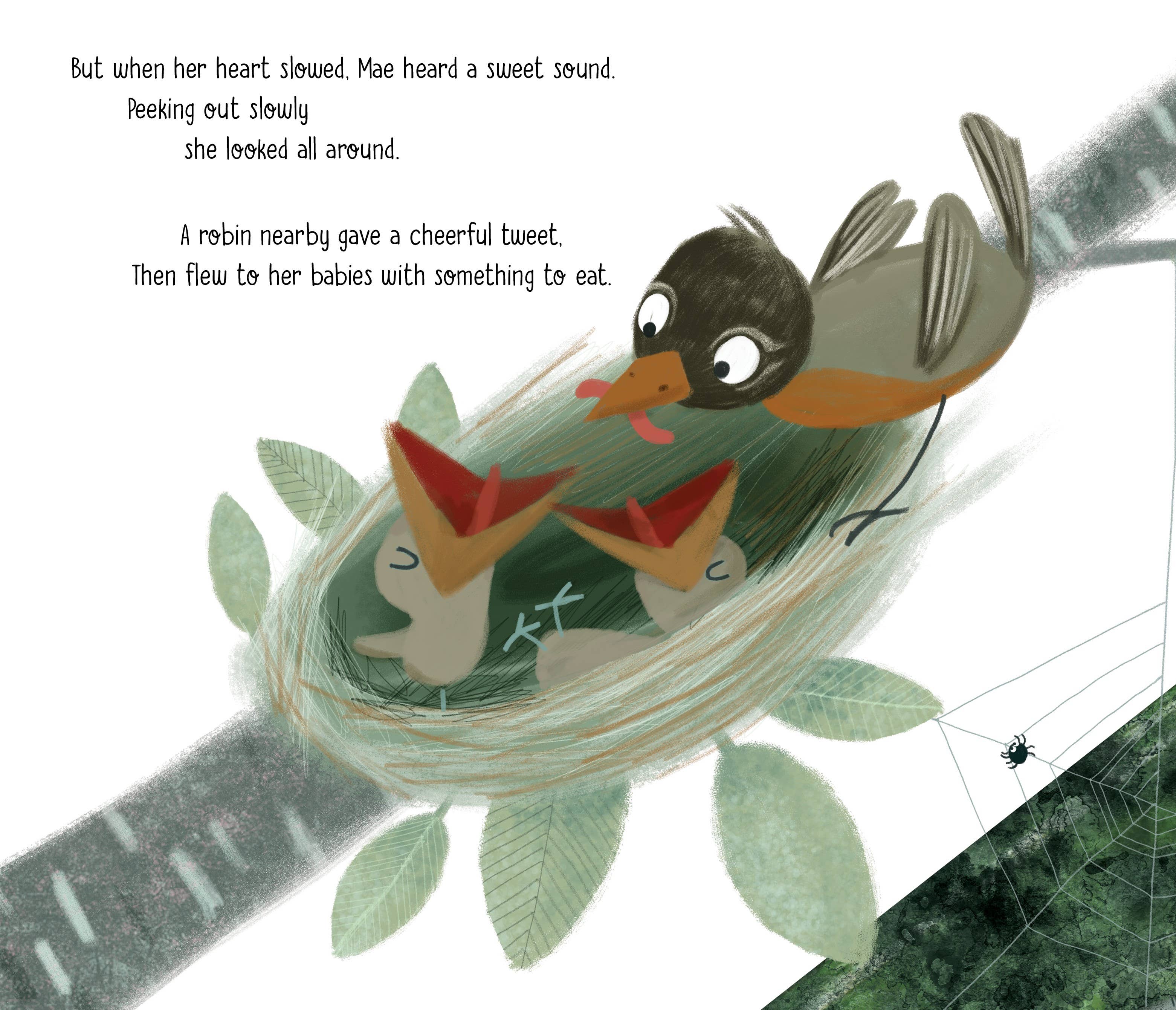 Mae the Mayfly Picture Book