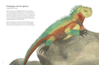 Colorful World of Reptiles
