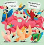 A Parliament of Owls Picture Book