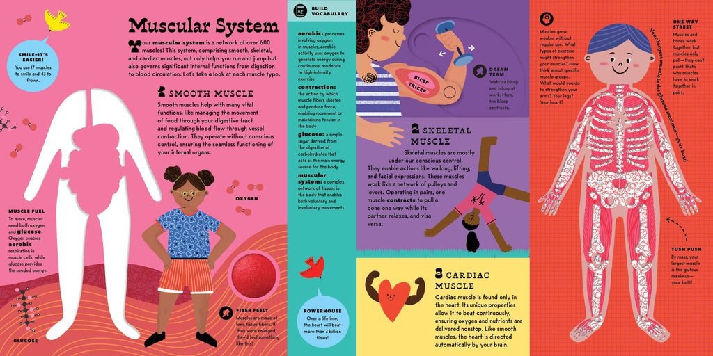 The Interactive Human Body