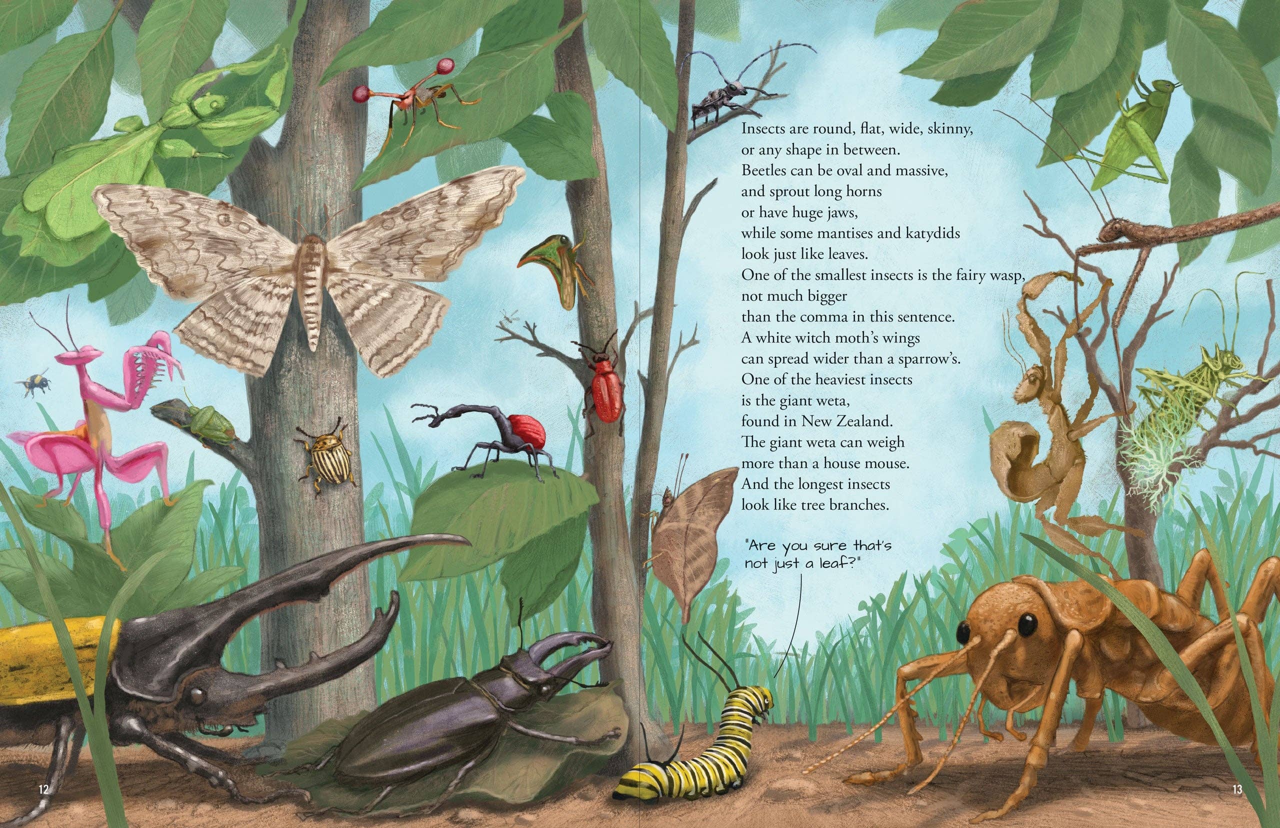 All the Insects in the World
