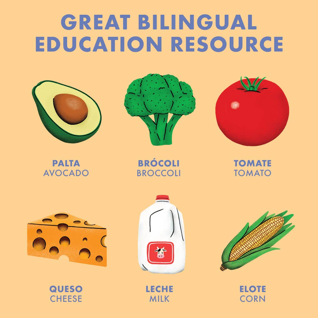 Big Bilingual Book First Words