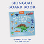 Big Bilingual Book First Words