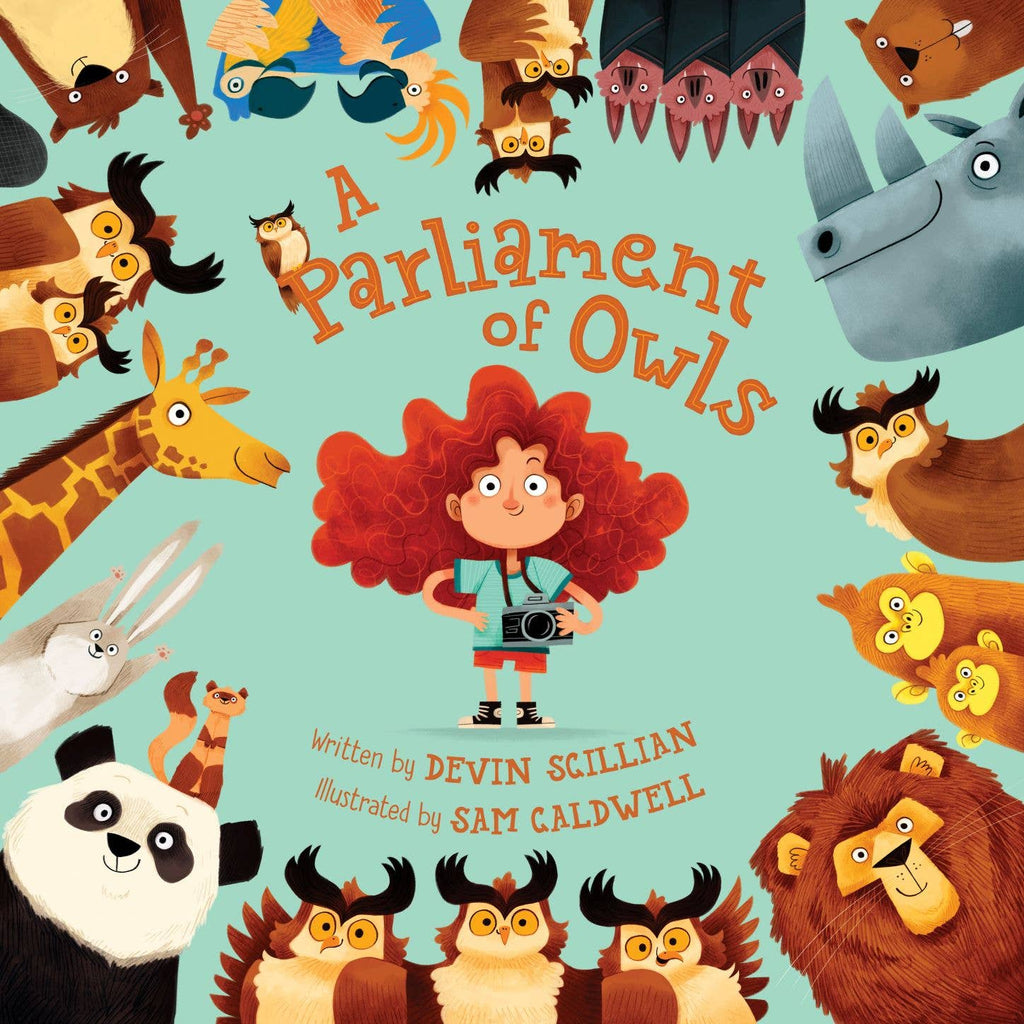 A Parliament of Owls Picture Book
