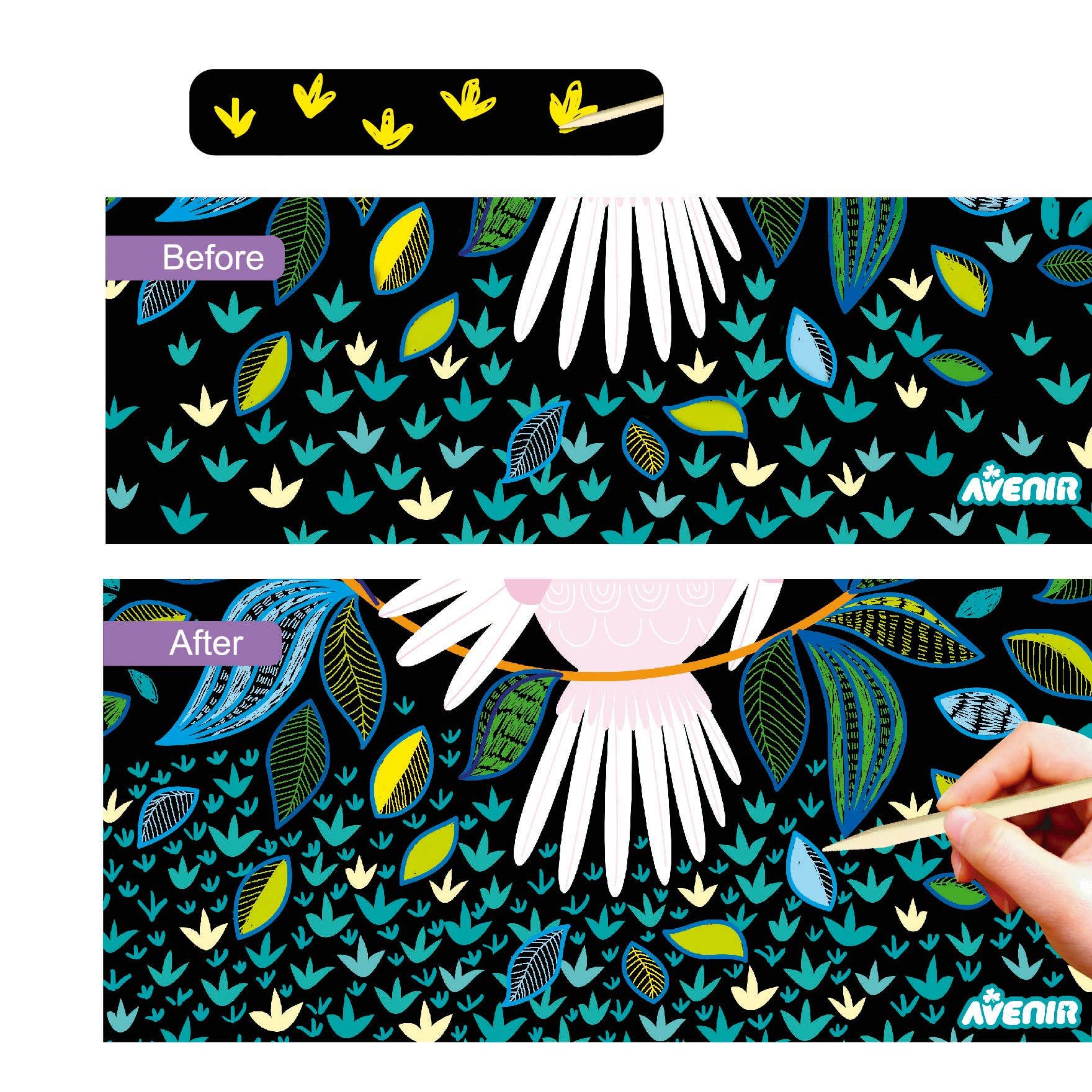 Avenir - Create Your Own Light Box