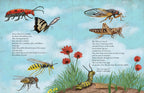 All the Insects in the World