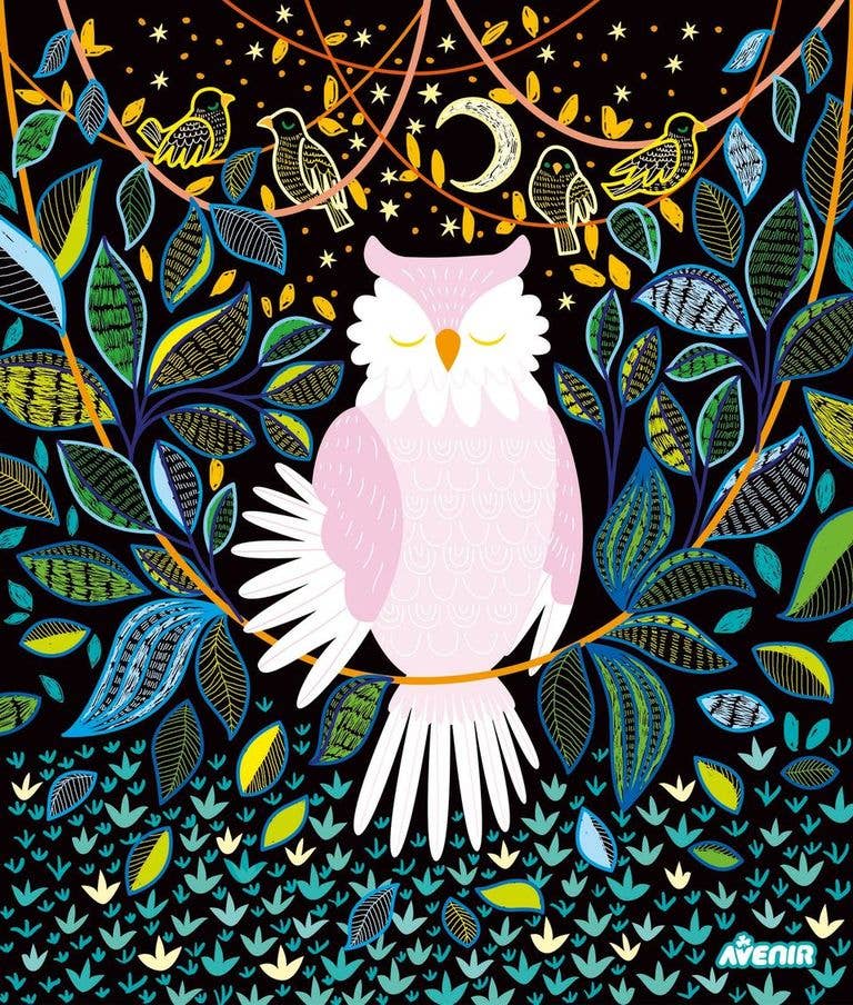 Avenir - Create Your Own Light Box