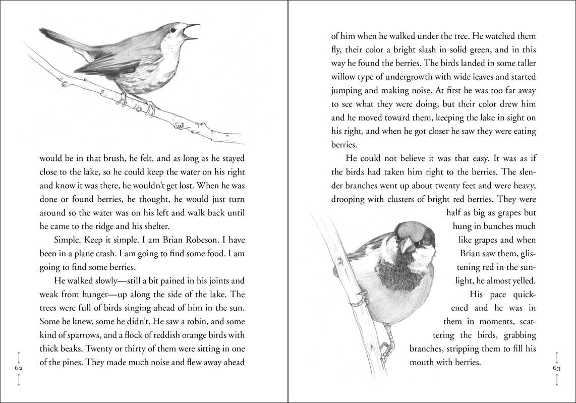 Hatchet by Gary Paulsen