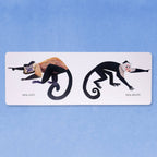 Hello Hello Opposites