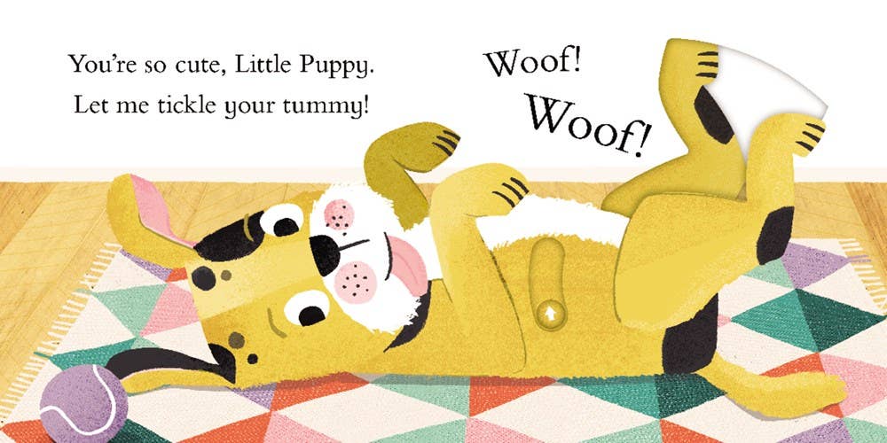 Hide & Slide: My Little Puppy : Jackie McCann