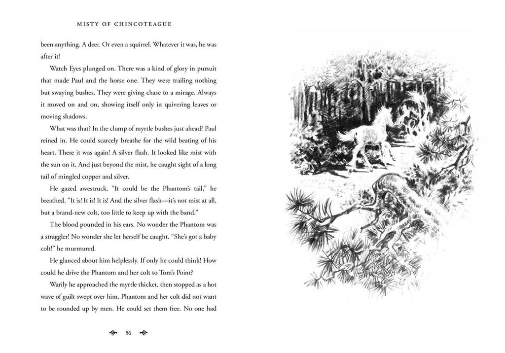 Misty of Chincoteague by Marguerite Henry