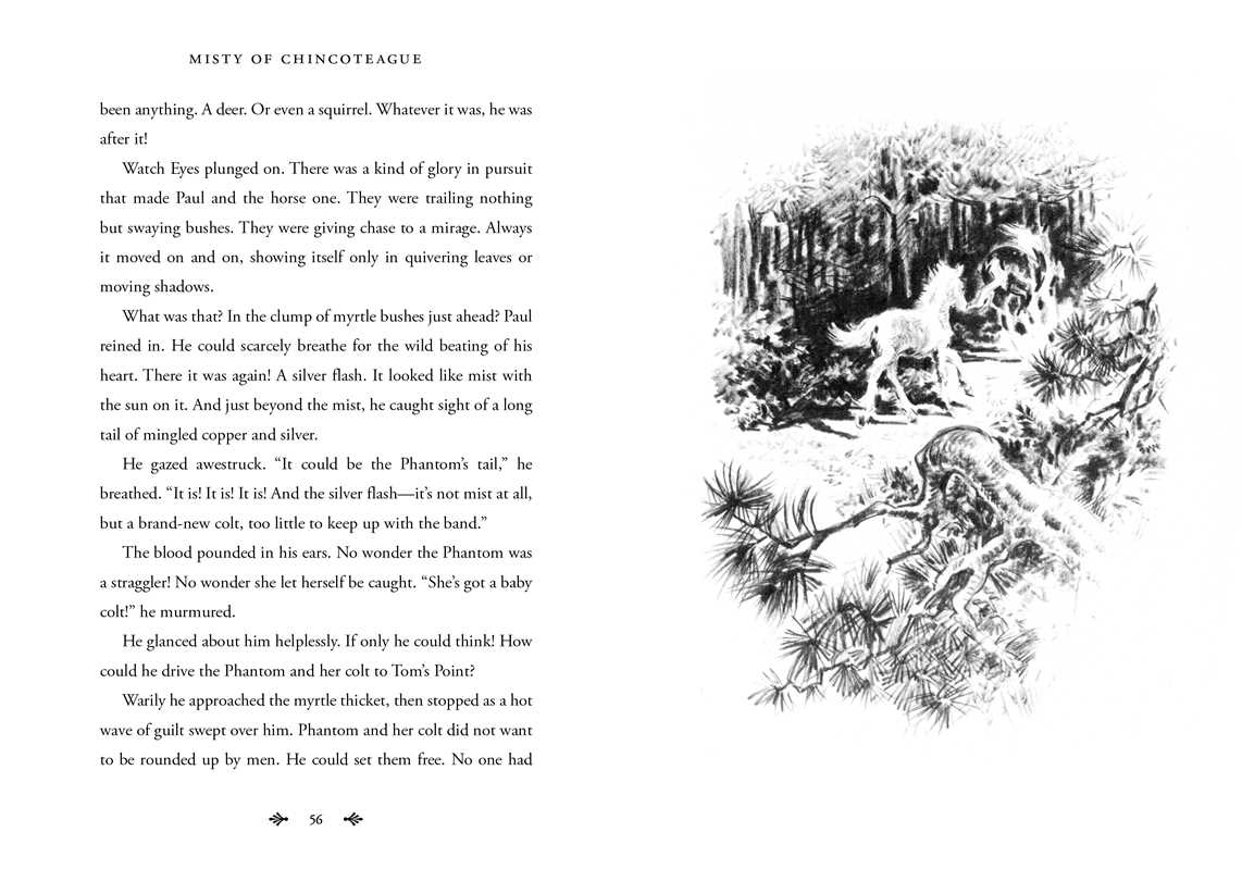 Misty of Chincoteague by Marguerite Henry